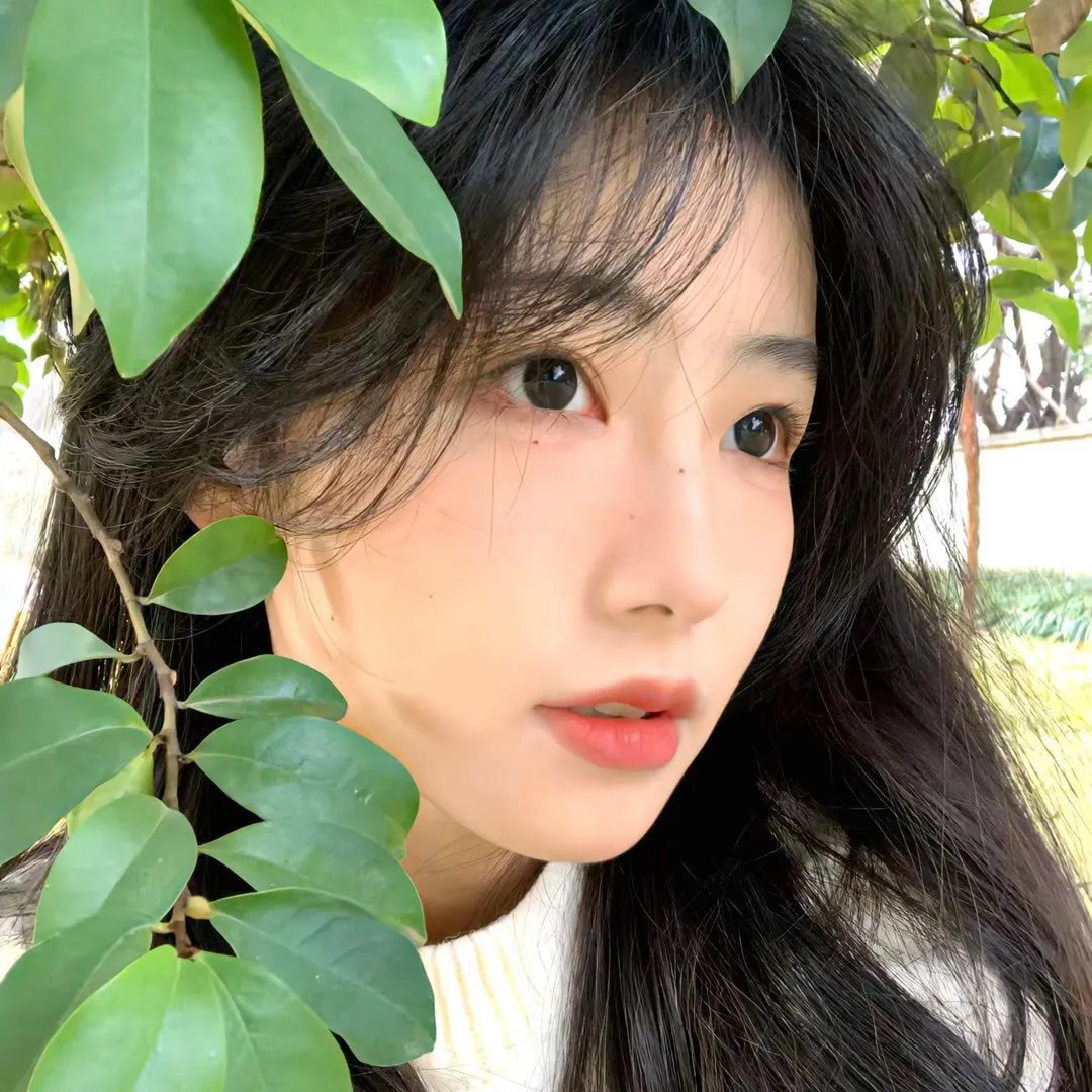 二嫫 在线观看封面