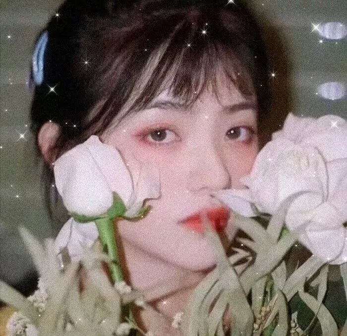 粉红学家 在线观看封面