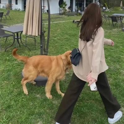 器灵第一季 在线观看封面